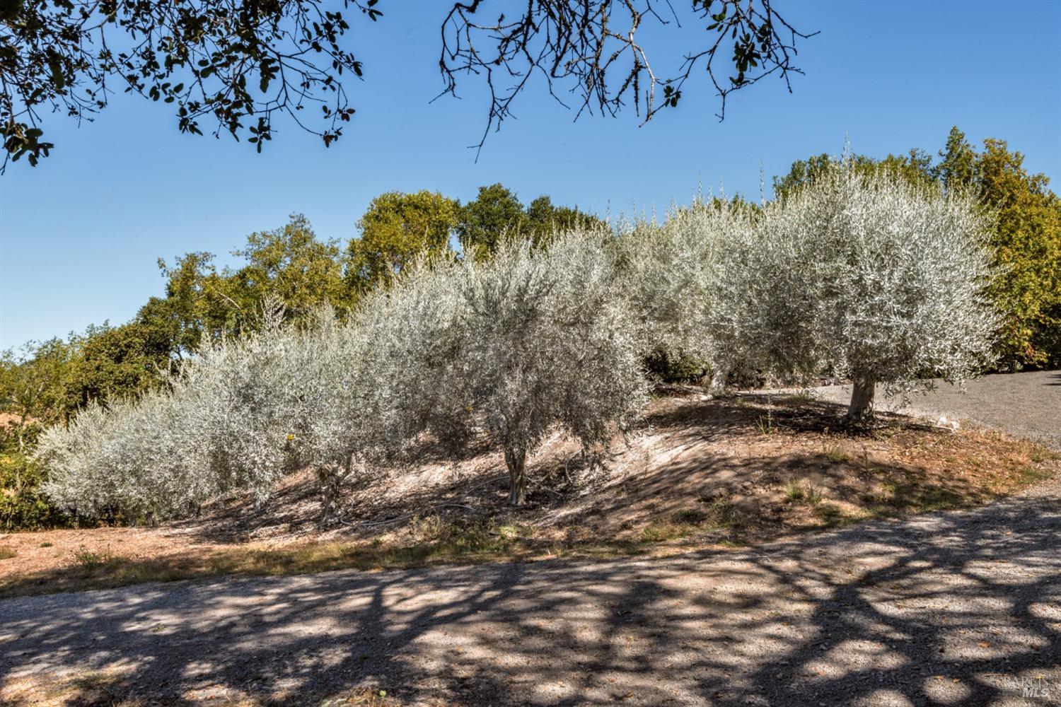 3763 Matanzas Creek Lane Santa Rosa CA 95404