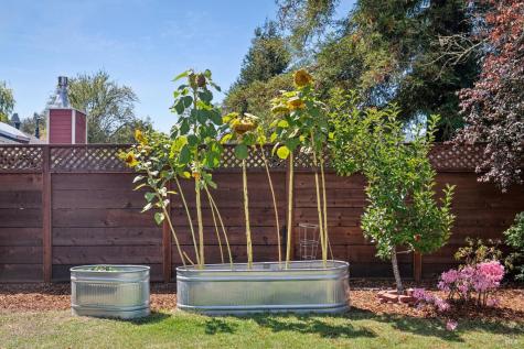 312 Marin Avenue Mill Valley CA 94941