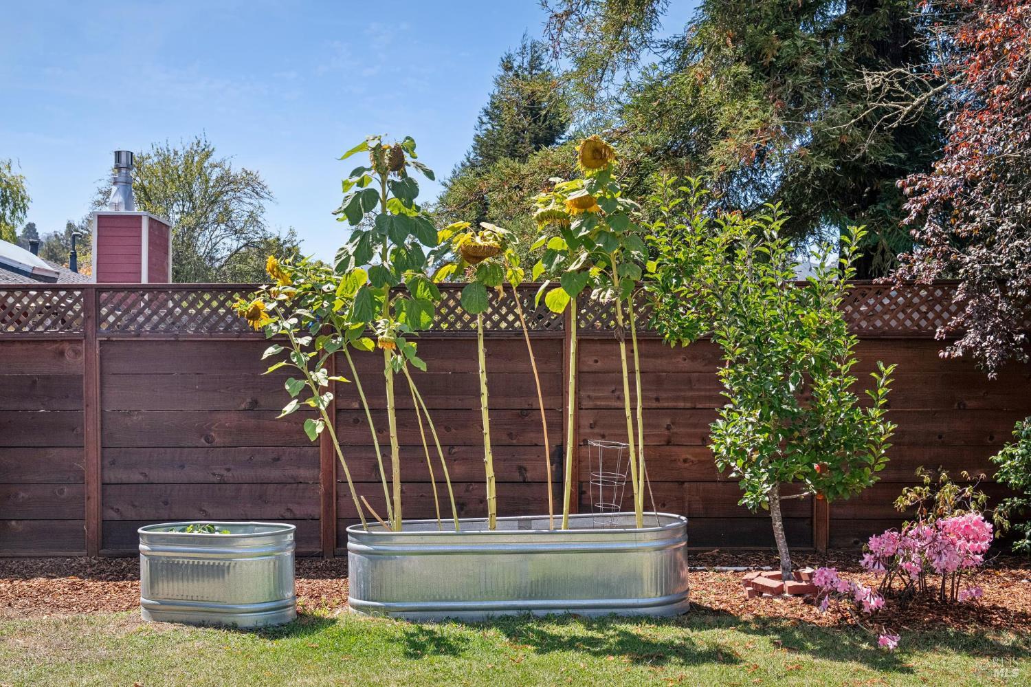 312 Marin Avenue Mill Valley CA 94941