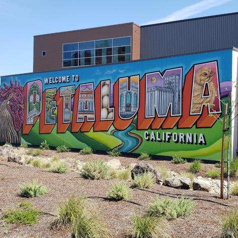 1013 Warren Drive Petaluma CA 94952