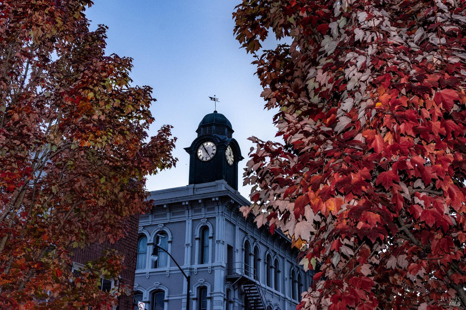 1013 Warren Drive Petaluma CA 94952
