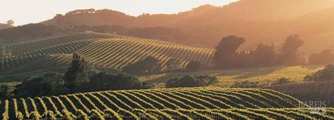 1013 Warren Drive Petaluma CA 94952