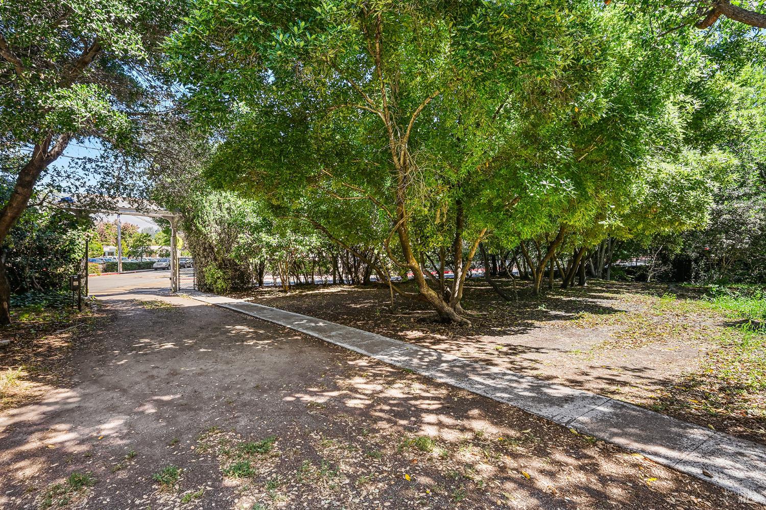 206 Saunders Avenue San Anselmo CA 94960