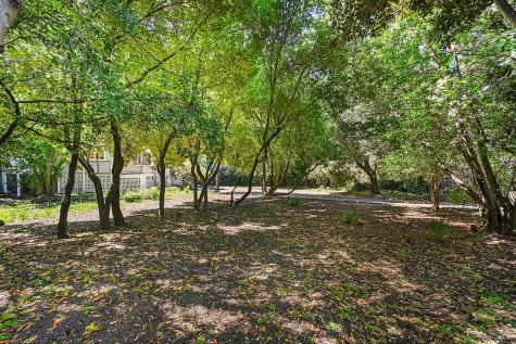 206 Saunders Avenue San Anselmo CA 94960
