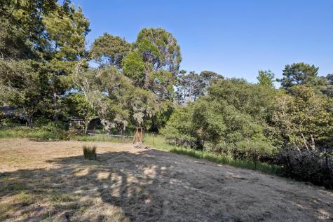 95 Via De Lane Vista Inverness CA 94937