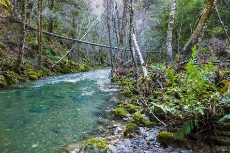 19801 Kelly Road Geyserville CA 95441