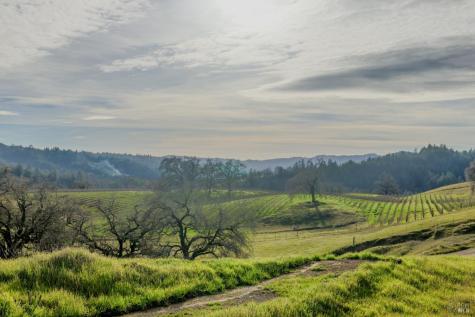 19801 Kelly Road Geyserville CA 95441