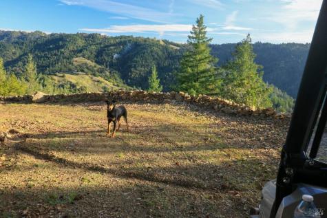 19801 Kelly Road Geyserville CA 95441