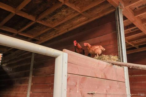 19801 Kelly Road Geyserville CA 95441