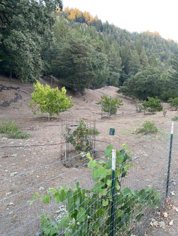 19801 Kelly Road Geyserville CA 95441