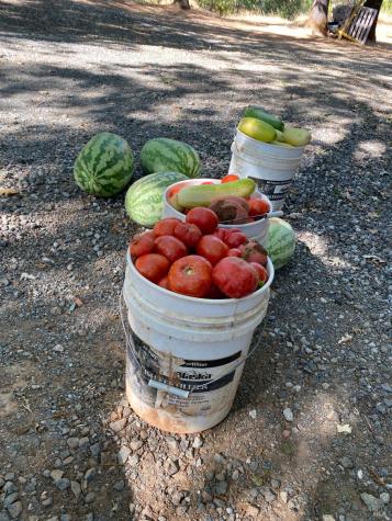 19801 Kelly Road Geyserville CA 95441