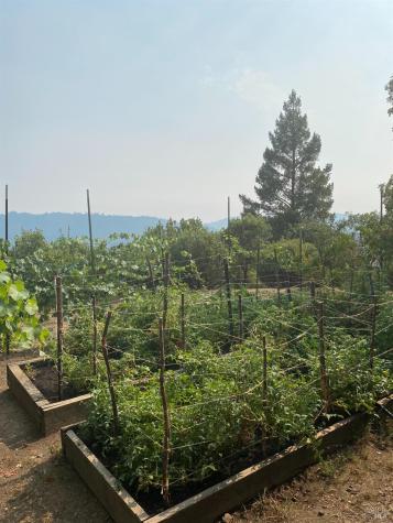 19801 Kelly Road Geyserville CA 95441