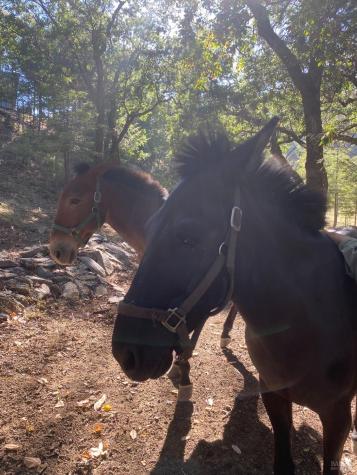 19801 Kelly Road Geyserville CA 95441