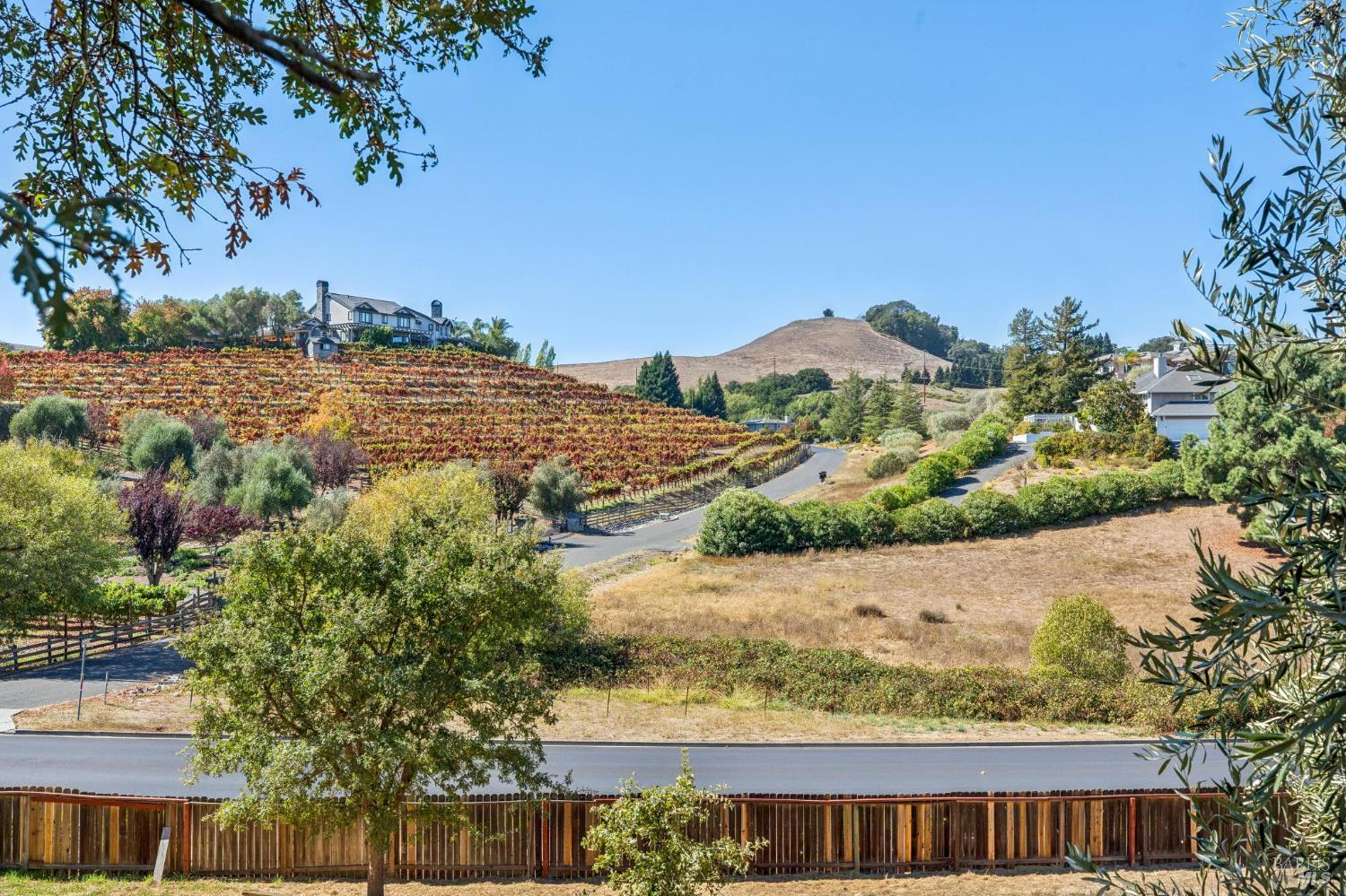 1096 Alpine Court Napa CA 94558