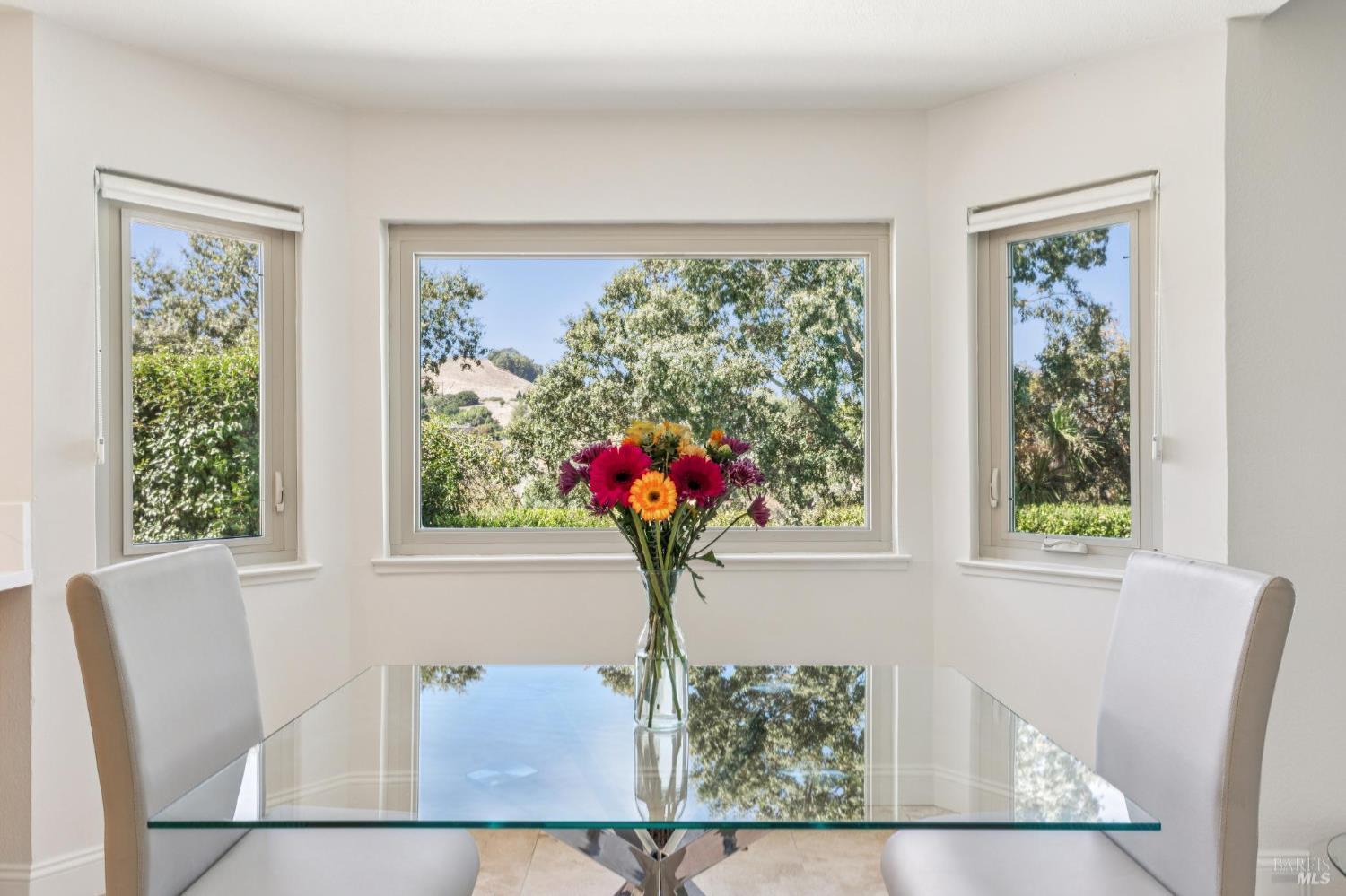 1096 Alpine Court Napa CA 94558