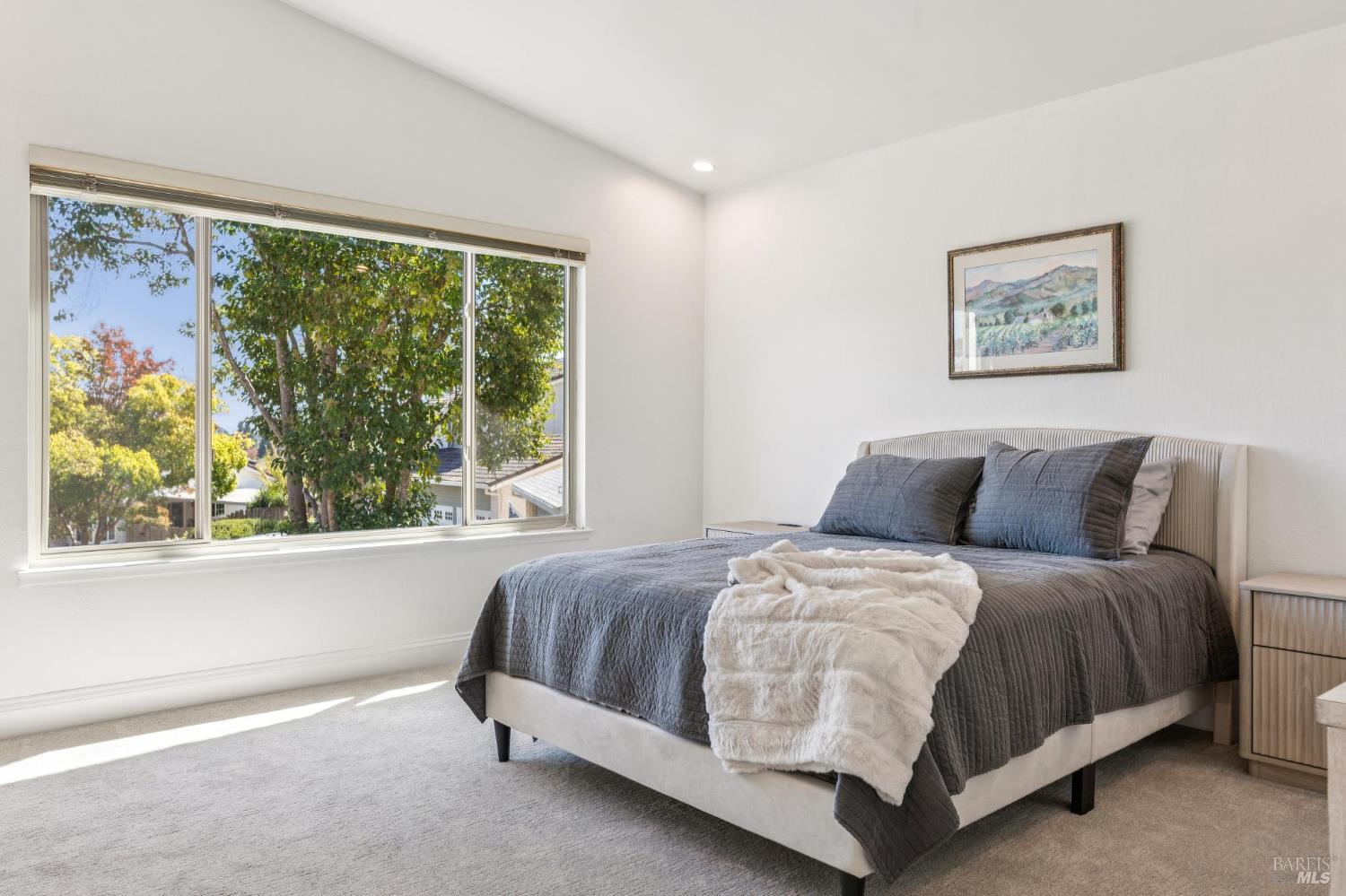 1096 Alpine Court Napa CA 94558