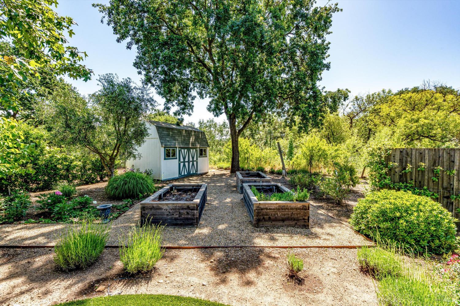 1167 Darms Lane Napa CA 94558