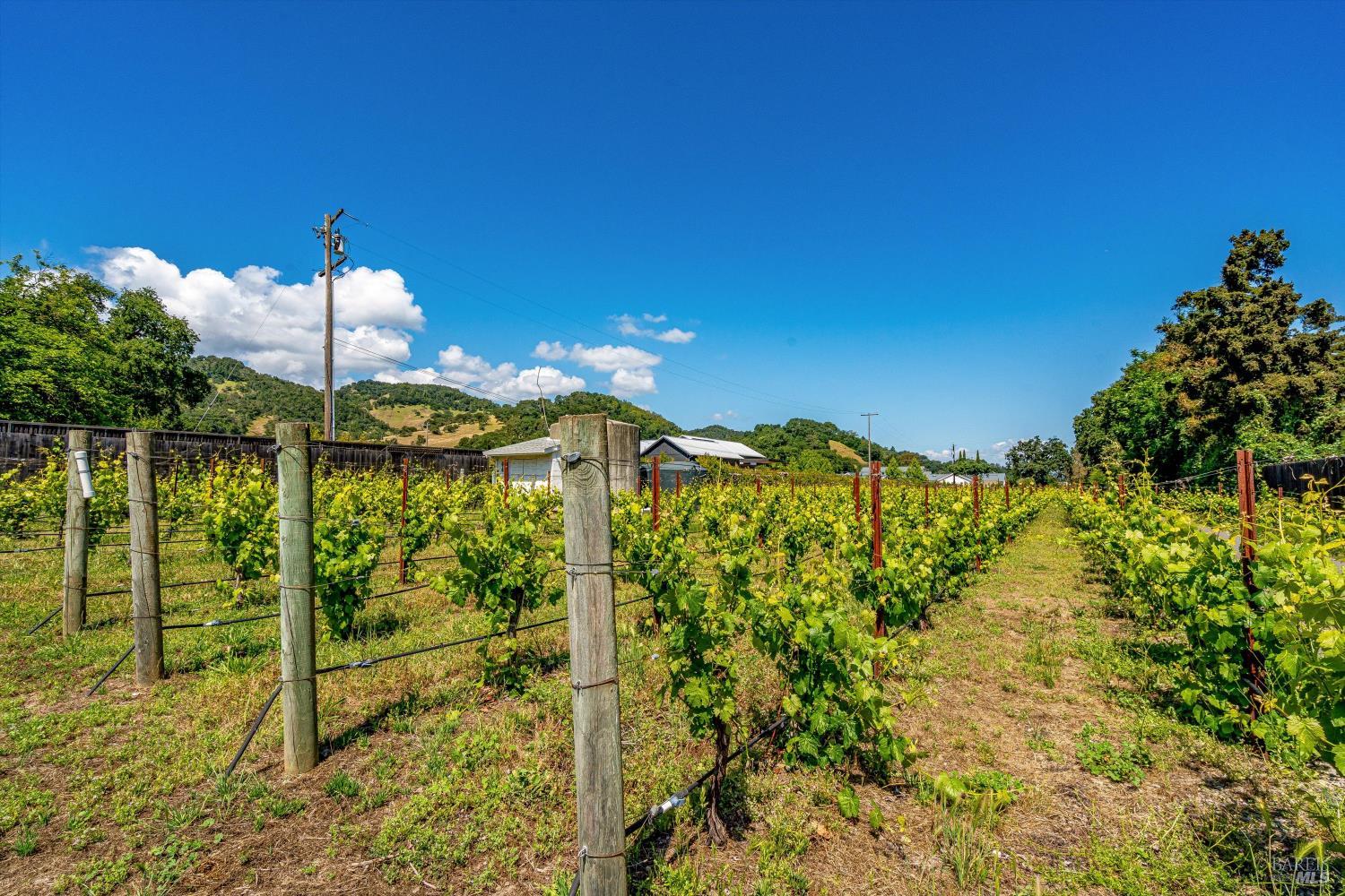 1167 Darms Lane Napa CA 94558