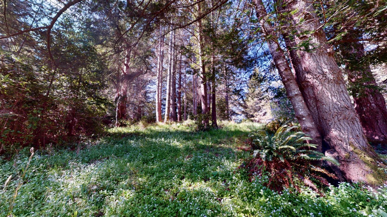 918 River Beach Road The Sea Ranch CA 95497