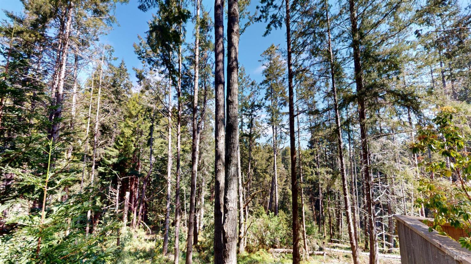 918 River Beach Road The Sea Ranch CA 95497