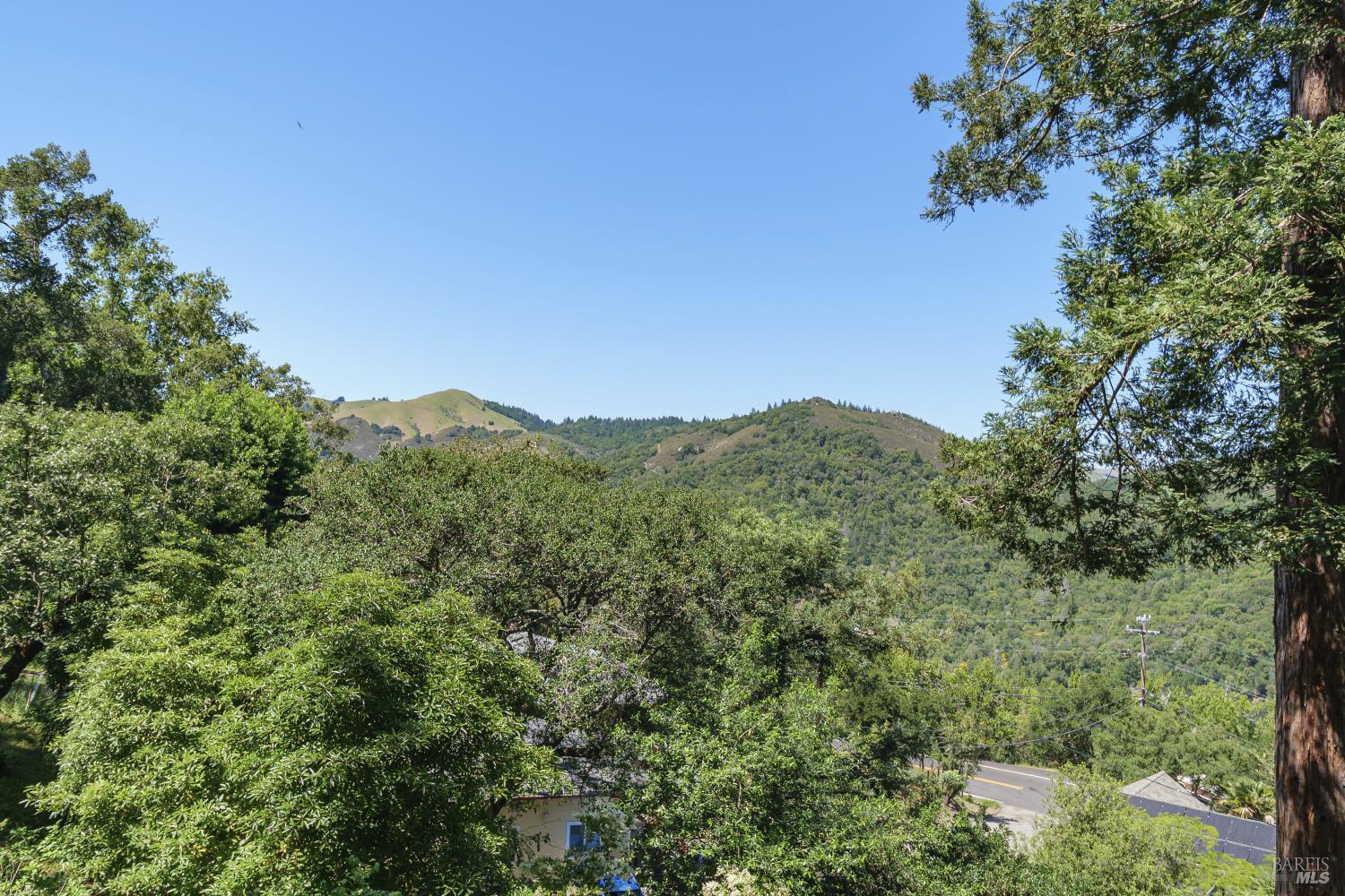 20 Buena Vista Avenue Fairfax CA 94930