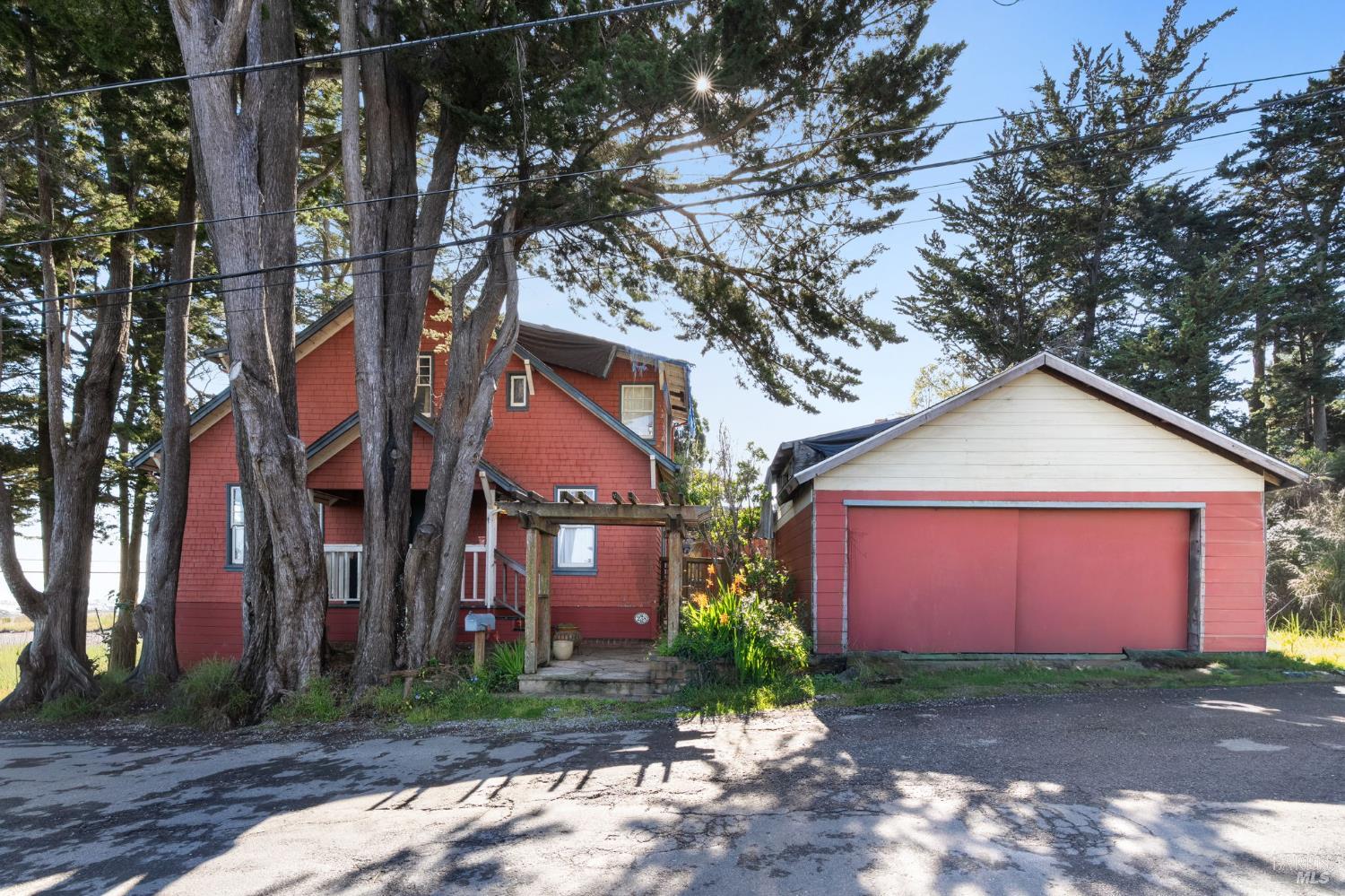238 California Avenue Mill Valley CA 94941