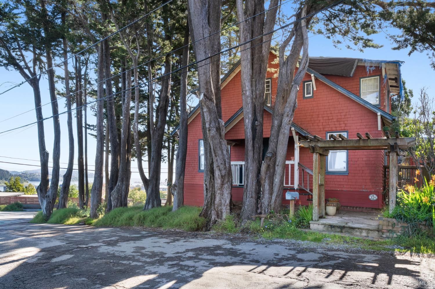 238 California Avenue Mill Valley CA 94941