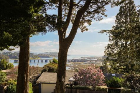 238 California Avenue Mill Valley CA 94941