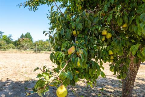 5140 Blank Road Sebastopol CA 95472