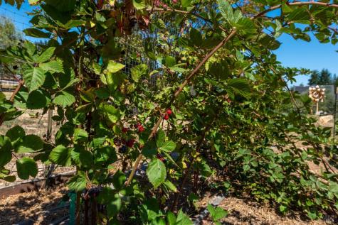 5140 Blank Road Sebastopol CA 95472