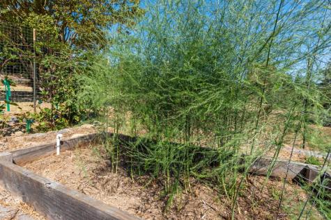 5140 Blank Road Sebastopol CA 95472