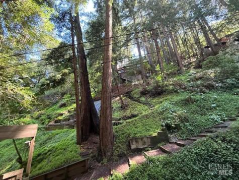 512 Park Way Mill Valley CA 94941