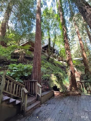 512 Park Way Mill Valley CA 94941