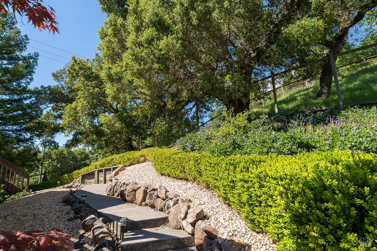 2554 Vineyard Road Novato CA 94947