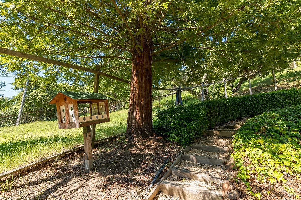 2554 Vineyard Road Novato CA 94947