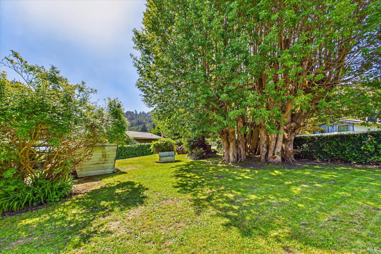 305 Belleview Avenue Rio Dell CA 95562