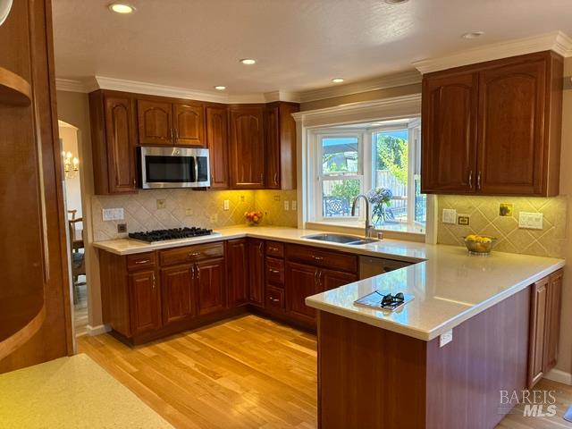 180 Apollo Court Novato CA 94947