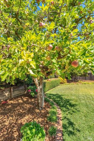 180 Apollo Court Novato CA 94947