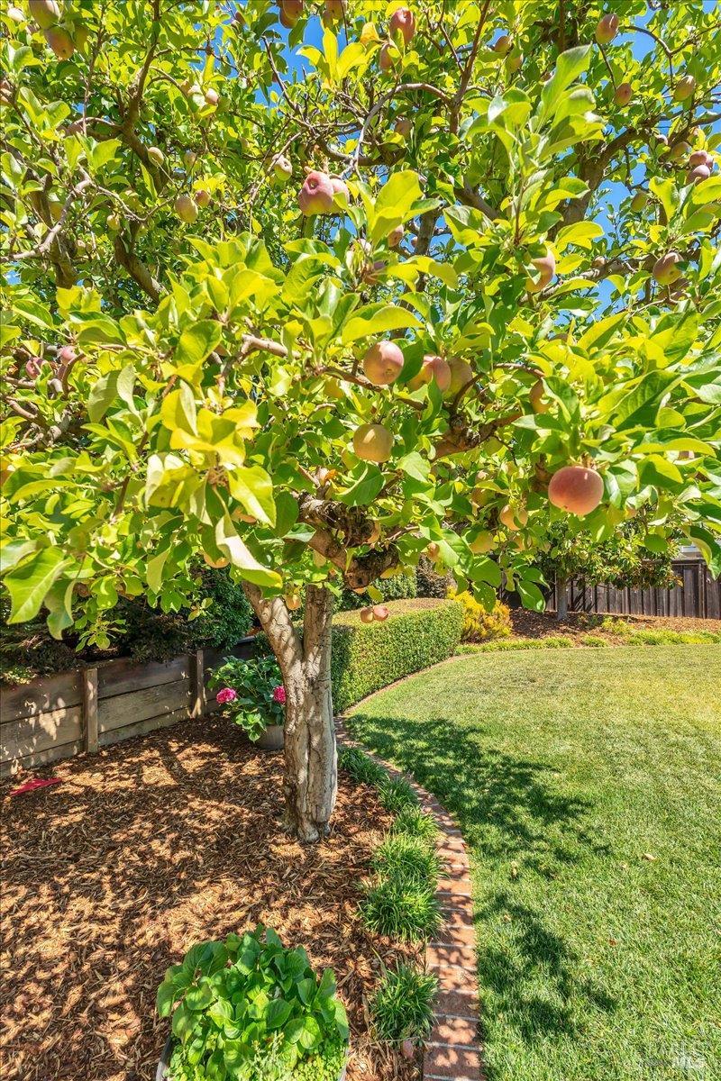 180 Apollo Court Novato CA 94947