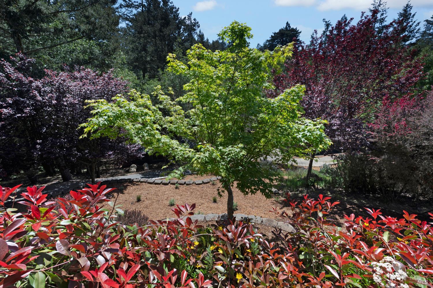 750 Wagnon Road Sebastopol CA 95472