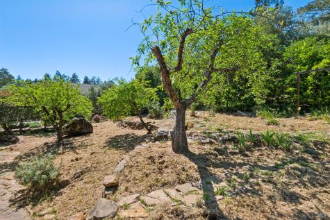 1475 Los Olivos Road Santa Rosa CA 95404