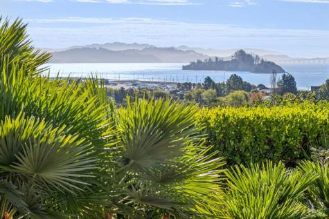 34 Arguello Circle San Rafael CA 94901