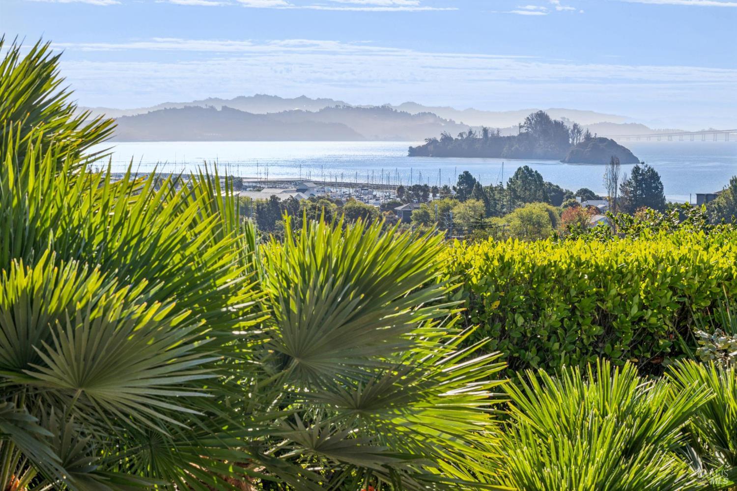 34 Arguello Circle San Rafael CA 94901