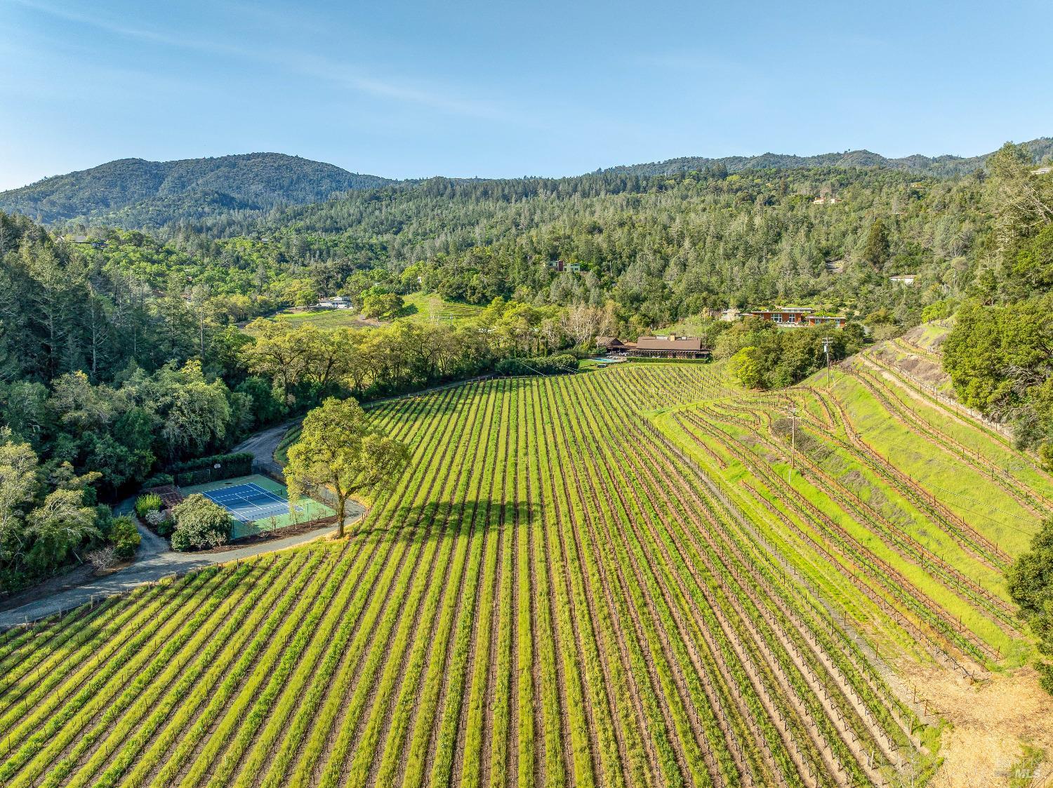 1626 Whitehall Lane St. Helena CA 94574