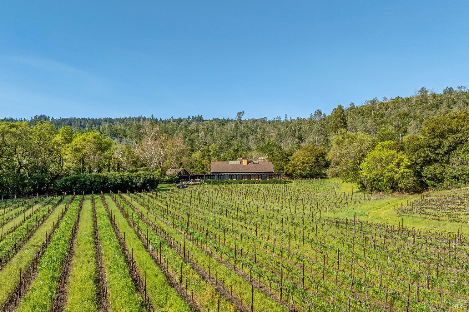 1626 Whitehall Lane St. Helena CA 94574