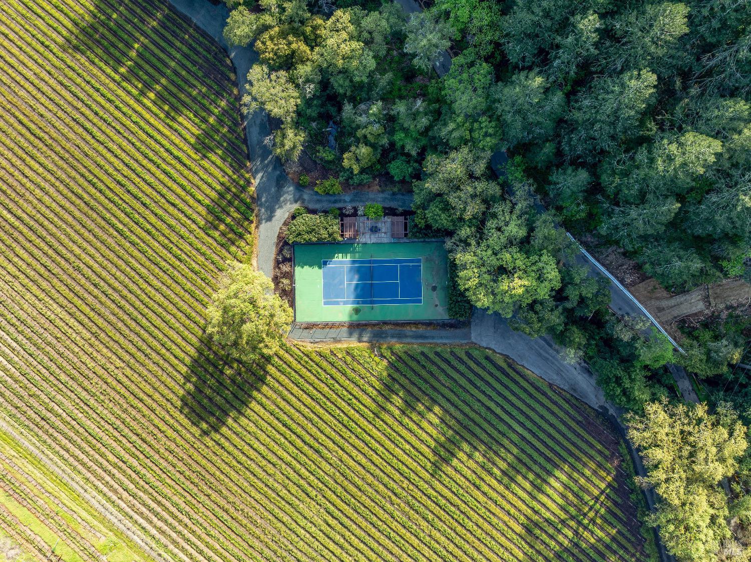 1626 Whitehall Lane St. Helena CA 94574