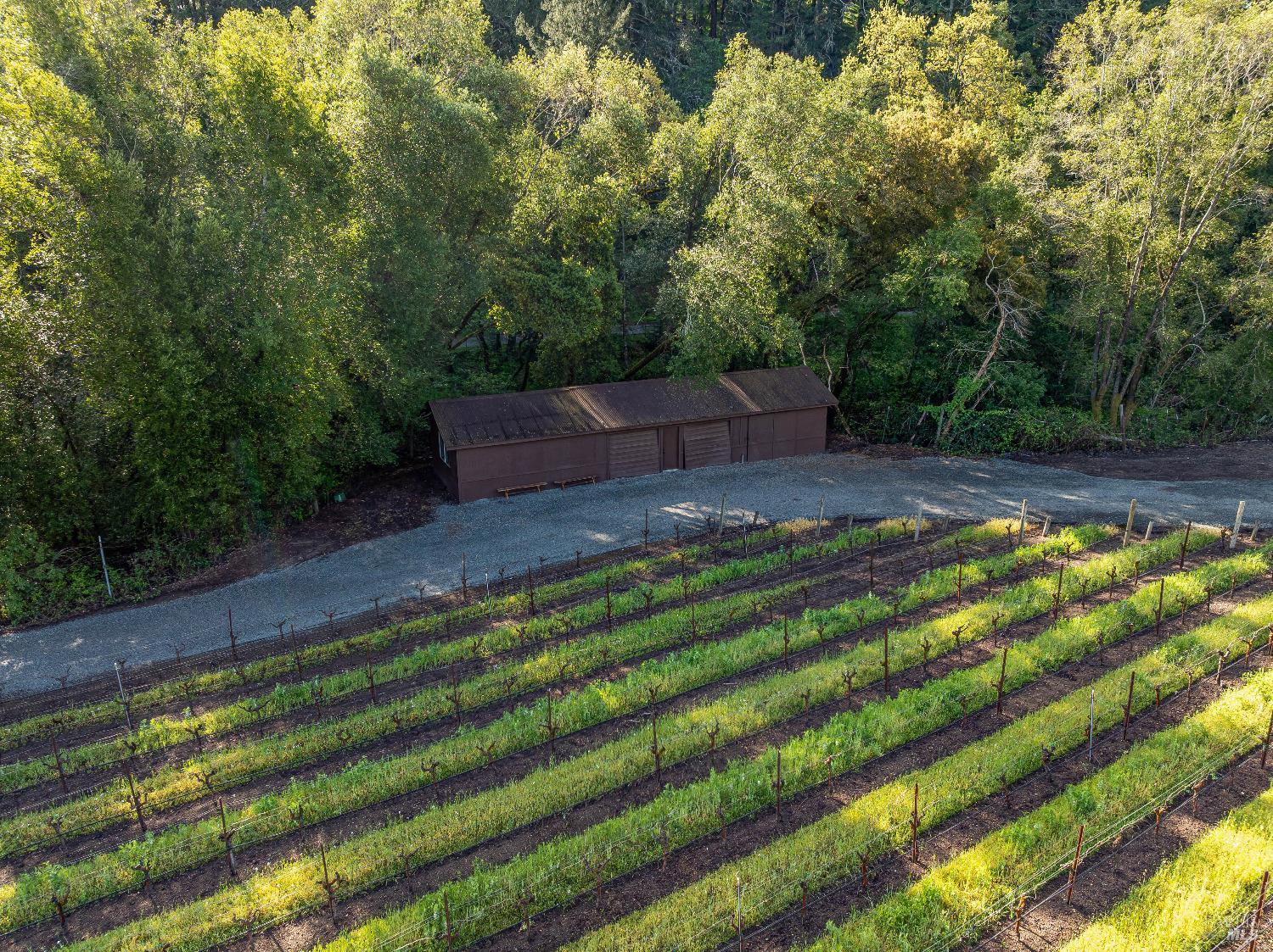 1626 Whitehall Lane St. Helena CA 94574