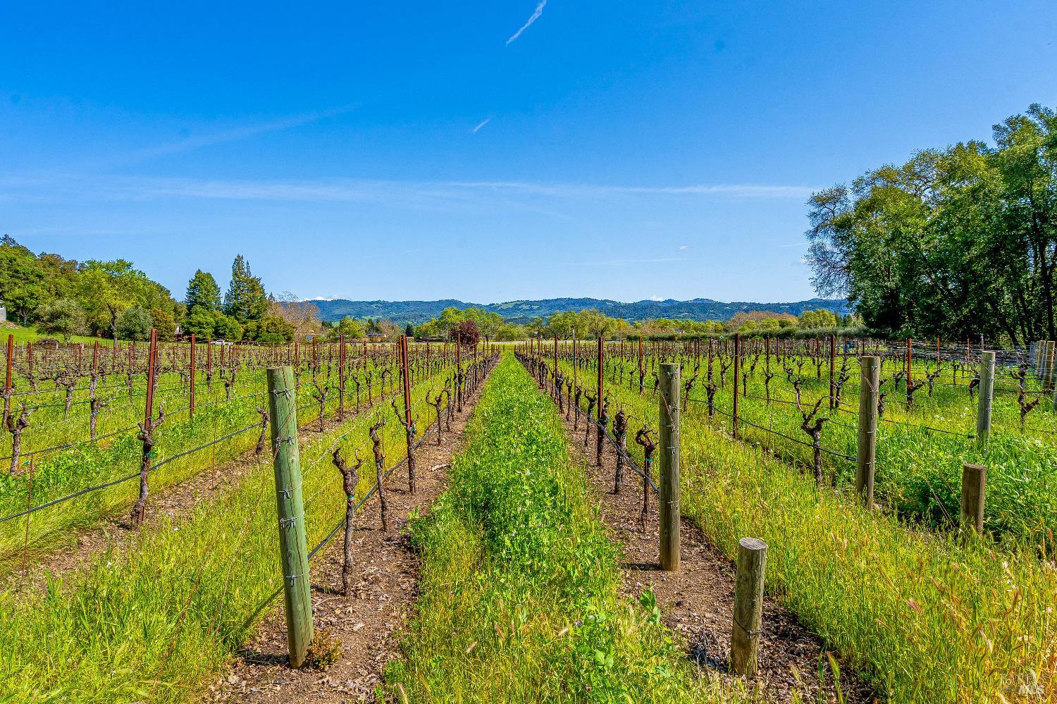 1626 Whitehall Lane St. Helena CA 94574