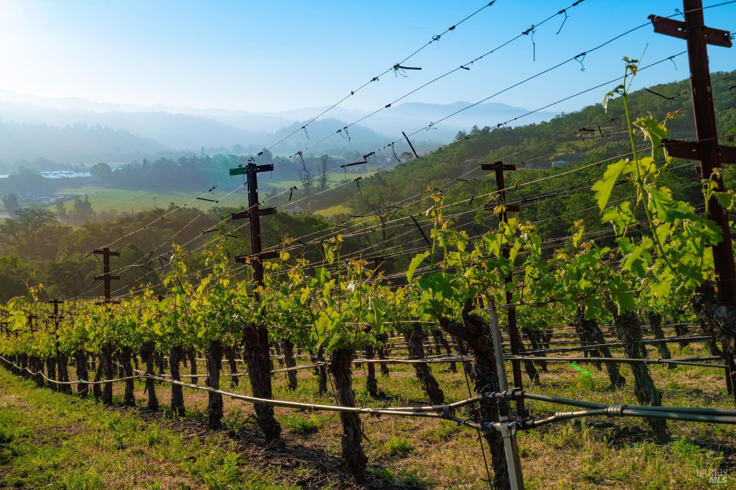2893 Saint Helena Highway N St. Helena CA 94574