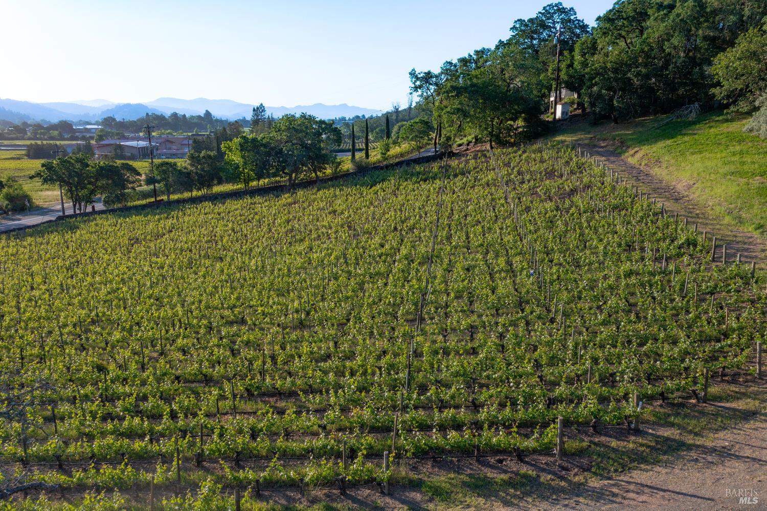 2893 Saint Helena Highway N St. Helena CA 94574